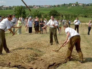 dreschen.JPG