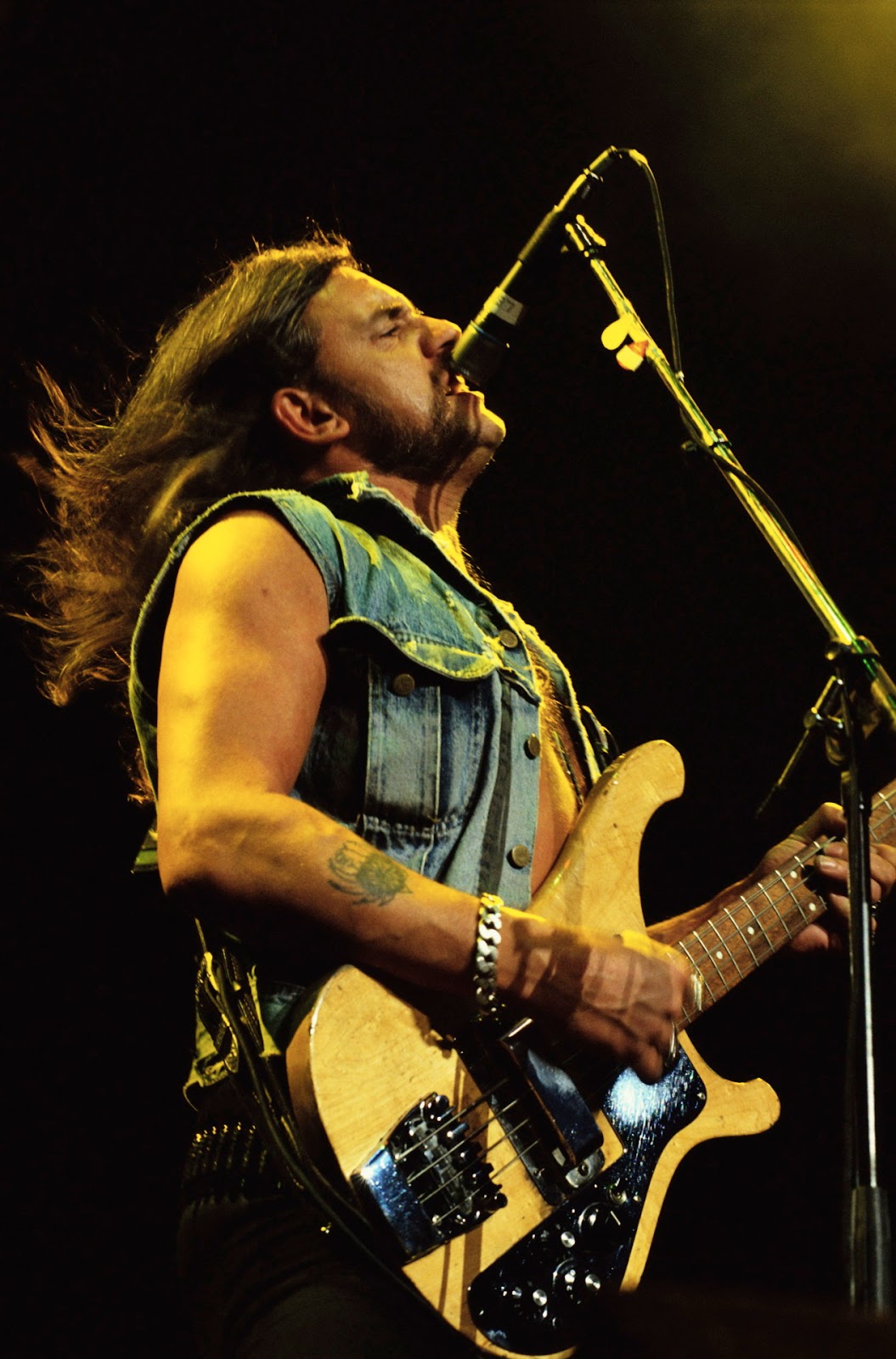 lemmy.jpeg