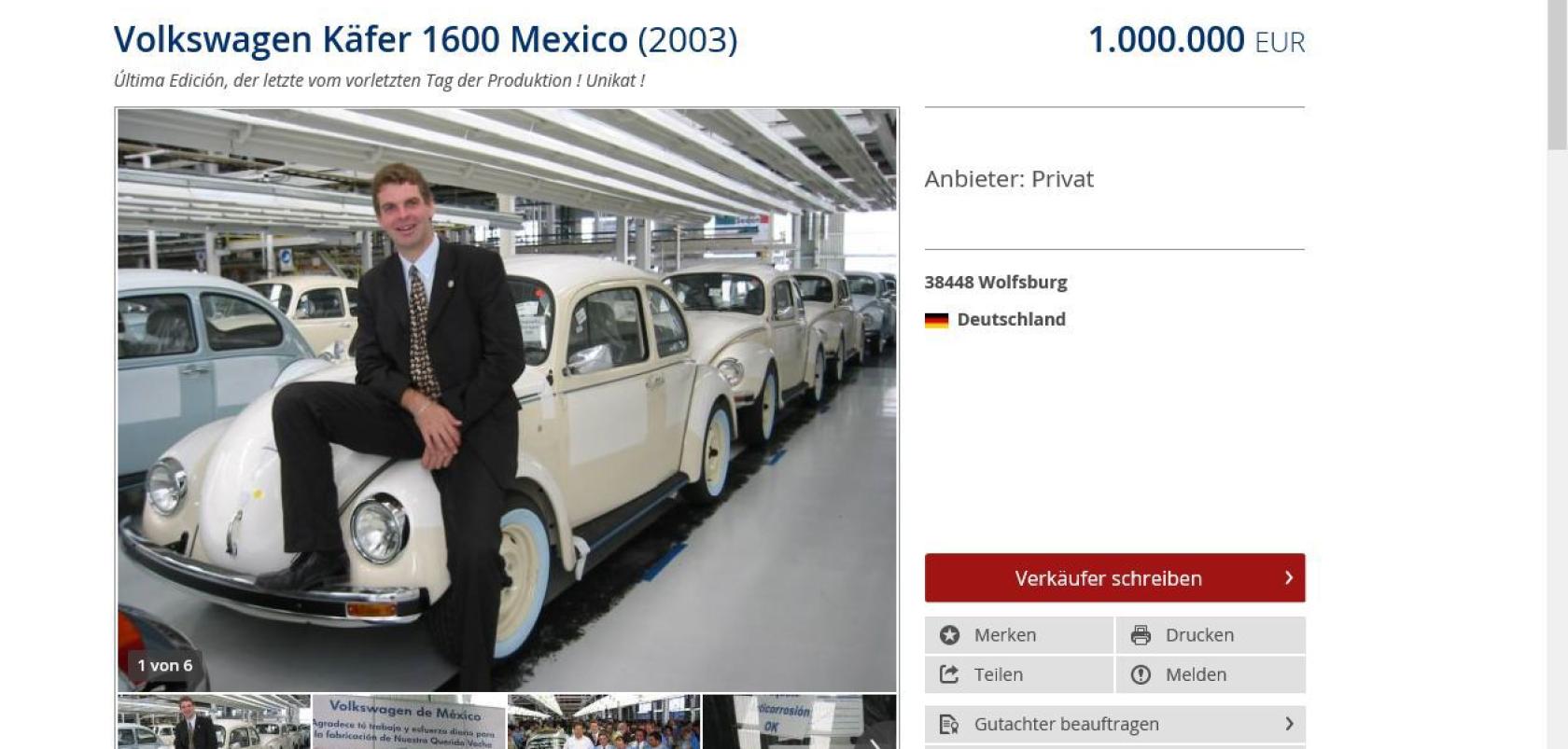 VW-Kaefer.jpg