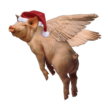 flying-pig.jpg