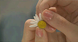2080112953_1.gif