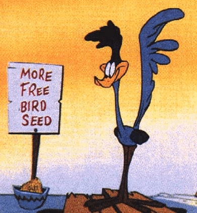 RoadRunner.gif