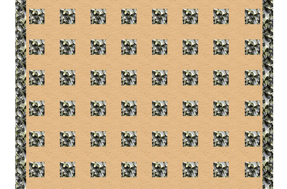 330422-1528787269.jpg