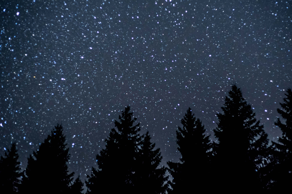 himmel-wald-baeume-nacht-sterne-schwarzwald-sternenhimmel-940.jpg