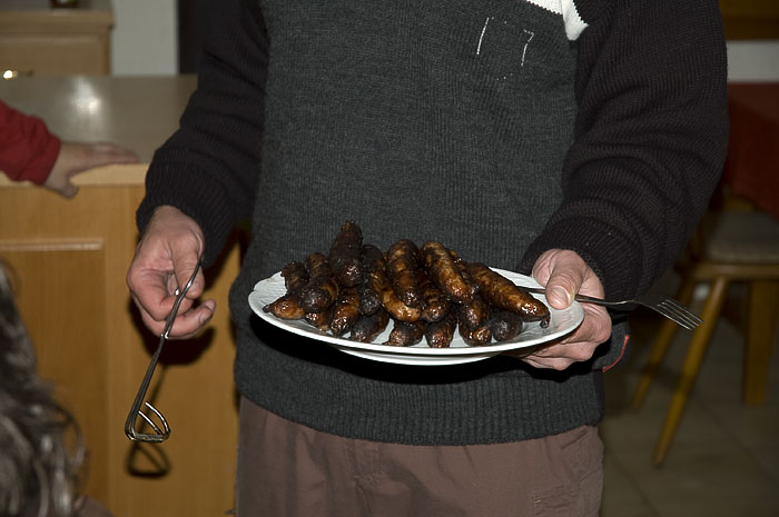 homercording-de-treffen-09040tifhomerecording-de-09.jpg
