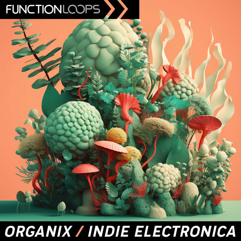 www.functionloops.com