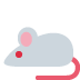 Maus :mouse2: 🐁