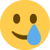 Lächelndes Gesicht mit Träne :smiling_face_with_tear: 🥲