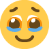 Gesicht hält Tränen zurück :face_holding_back_tears: 🥹