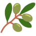 Olive :olive: 🫒